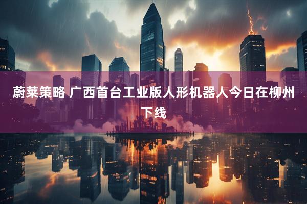 蔚莱策略 广西首台工业版人形机器人今日在柳州下线