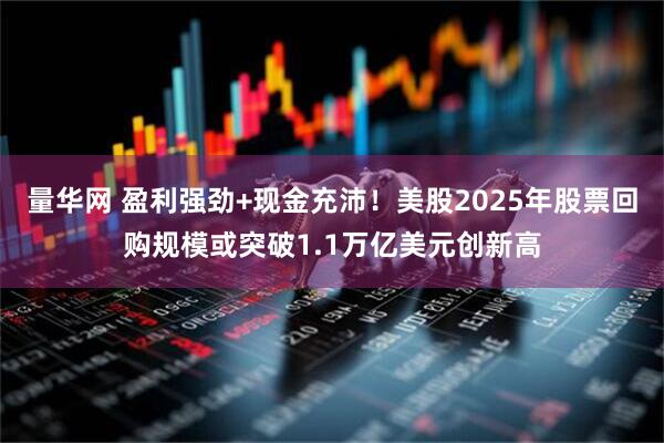 量华网 盈利强劲+现金充沛！美股2025年股票回购规模或突破1.1万亿美元创新高
