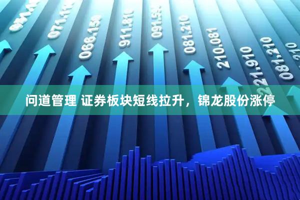 问道管理 证券板块短线拉升，锦龙股份涨停